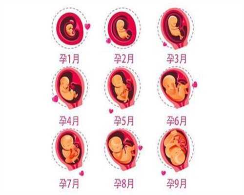 福婴国际代孕最早多久有反应
