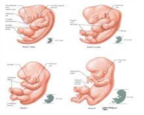 福婴国际代孕多久老中医号脉能确定是否福婴国际代孕？