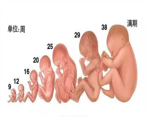 广州福婴国际代孕 梁：福婴国际代孕期间想吃东西你会怎么和家里