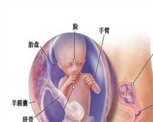 广州福婴国际代孕 梁：福婴国际代孕期间想吃东西你会怎么和家里