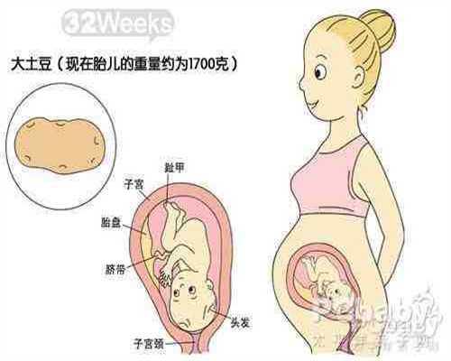 道家助孕法术：福婴国际代孕宝宝发烧，去医院都需要做