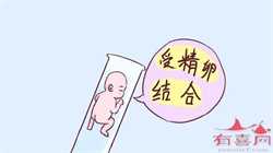 长沙生殖代生公司，长沙私立生殖医院做一代试管婴儿可以选择性别吗？