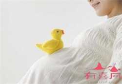 武汉助孕集团价钱，武汉做试管婴儿生龙凤胎要多少钱？